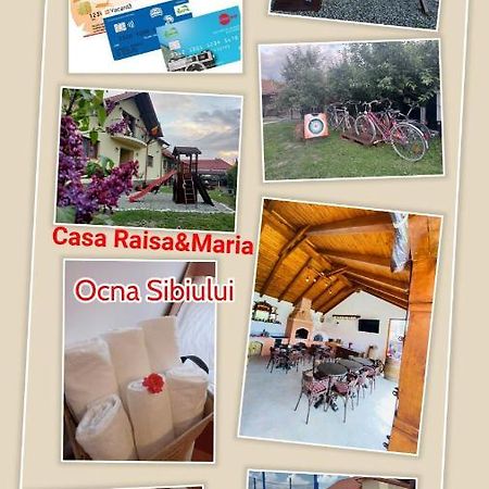 Casa Raisa & Maria Ξενοδοχείο Ocna Sibiului Εξωτερικό φωτογραφία