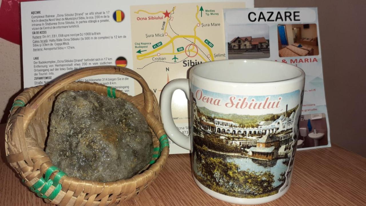 Casa Raisa & Maria Ξενοδοχείο Ocna Sibiului Εξωτερικό φωτογραφία