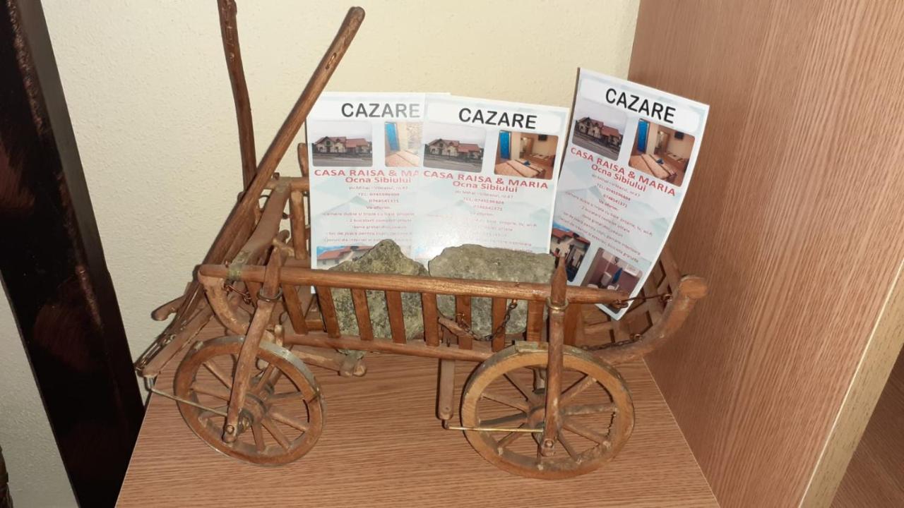 Casa Raisa & Maria Ξενοδοχείο Ocna Sibiului Εξωτερικό φωτογραφία