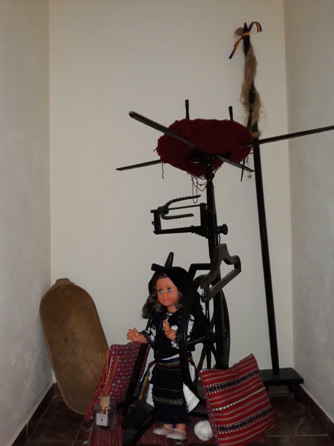 Casa Raisa & Maria Ξενοδοχείο Ocna Sibiului Εξωτερικό φωτογραφία